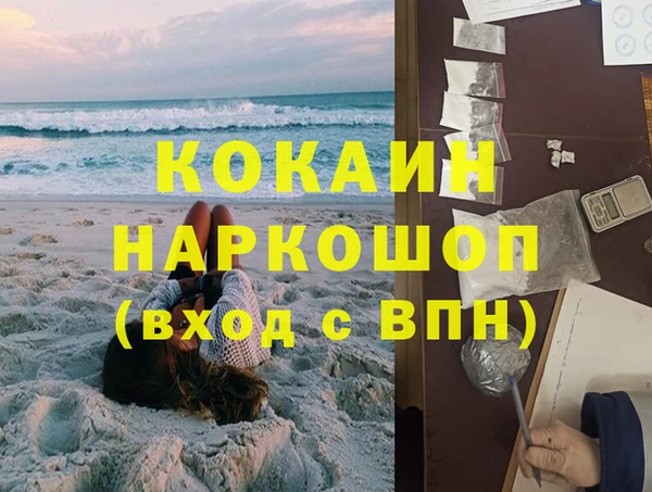 гидра Надым