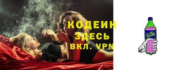 спиды Бородино